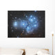 Pleiades Open Star Cluster Wall Decal