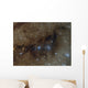 Blue Oval Reflection Nebula Wall Decal