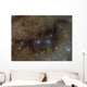 Blue Oval Reflection Nebula Wall Decal