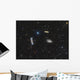 Leo Triplet Wall Decal