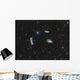 Leo Triplet Wall Decal