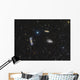 Leo Triplet Wall Decal