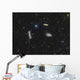 Leo Triplet Wall Decal