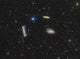 Leo Triplet Wall Decal