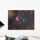 Lagoon Nebula and Trifid Distant Wall Decal
