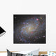 Triangulum Galaxy Wall Decal