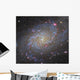 Triangulum Galaxy Wall Decal