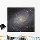Triangulum Galaxy Wall Decal