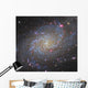 Triangulum Galaxy Wall Decal