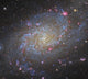 Triangulum Galaxy Wall Decal