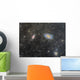 Cigar Galaxy and Bode's Wall Decal