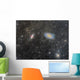 Cigar Galaxy and Bode's Wall Decal