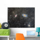 Cigar Galaxy and Bode's Wall Decal
