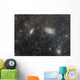 Cigar Galaxy and Bode's Wall Decal