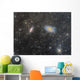 Cigar Galaxy and Bode's Wall Decal