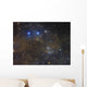 Ngc 1342 Open Cluster Wall Decal