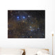 Ngc 1342 Open Cluster Wall Decal