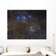 Ngc 1342 Open Cluster Wall Decal