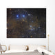 Ngc 1342 Open Cluster Wall Decal
