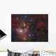 Ngc 7822 Star forming Complex Wall Decal