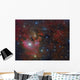 Ngc 7822 Star forming Complex Wall Decal