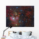 Ngc 7822 Star forming Complex Wall Decal