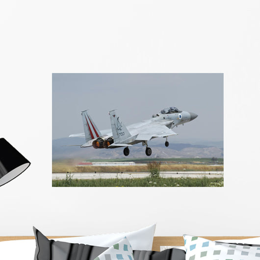 Israeli Air Force F-15d Wall Decal