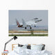 Israeli Air Force F-15d Wall Decal