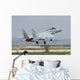 Israeli Air Force F-15d Wall Decal