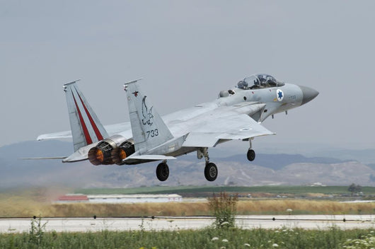 Israeli Air Force F-15d Wall Decal