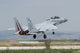 Israeli Air Force F-15d Wall Decal