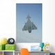 Italian Air Force Eurofighter Wall Decal