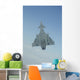 Italian Air Force Eurofighter Wall Decal