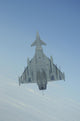 Italian Air Force Eurofighter Wall Decal