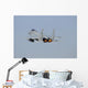 F-15 Eagle Royal Saudi In-Flight Wall Decal
