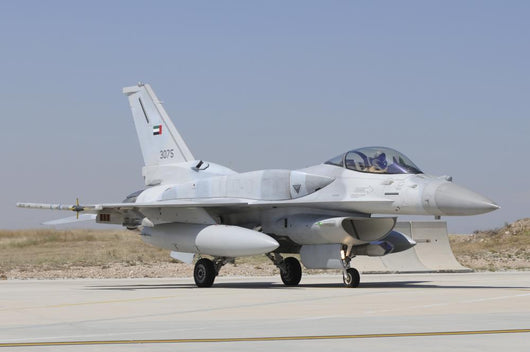 United Arab Emirates Air Grounded Wall Decal