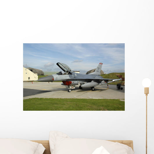 Us Air Forces Europe SP Wall Decal