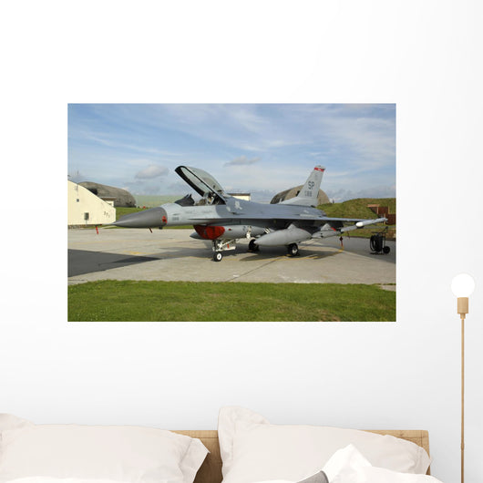 Us Air Forces Europe SP Wall Decal