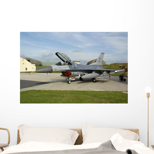 Us Air Forces Europe SP Wall Decal
