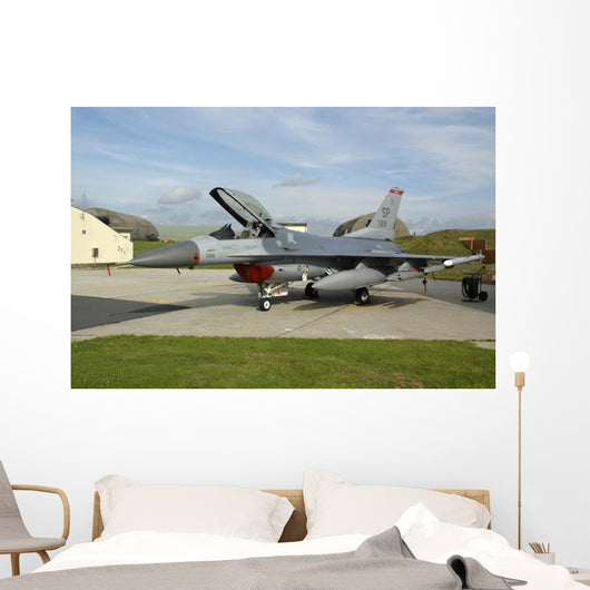 Us Air Forces Europe SP Wall Decal
