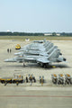 Line-up F A-18 Hornets Wall Decal