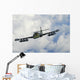 Uruguayan Air Force A-37 In-Flight Wall Decal