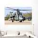 Brazilian Air Force Mil Grounded Wall Decal