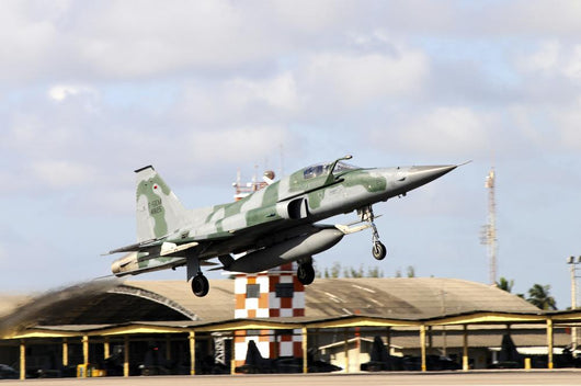 Brazilian Air Force F-5em Taking Off Wall Decal