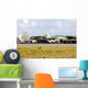 Chilean Air Force F-16a Landing Wall Decal