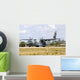 Brazilian Air Force C-105 Wall Decal