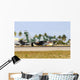 Brazilian Air Force F-5em Grounded Wall Decal