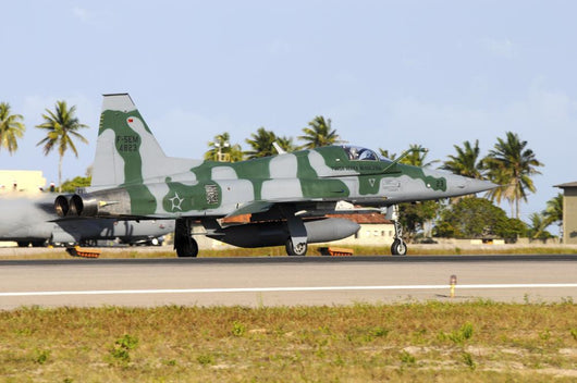 Brazilian Air Force F-5em Grounded Wall Decal