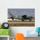 Brazilian Air Force C-98 Wall Decal