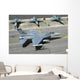 Us Air Force F-16c Right Top Wall Decal